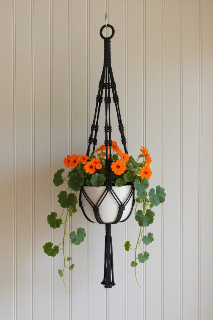 A single black macrame hanger suspending a white ceramic pot with blooming orange nasturtiums.